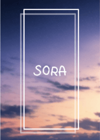 SORA vol.110
