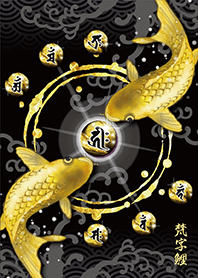 吸引好运的✨金鲤鱼