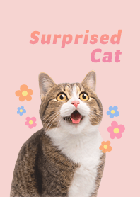 Surprised cat and cute flowers | PINK