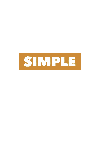 SIMPLE BANNER THEME -17