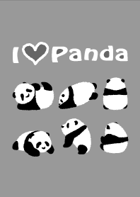 Cute Baby Panda - gray