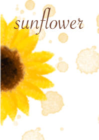 Flowers : sunflower