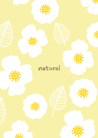 Stylish white flowers leaves13 Japan