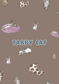 tabbycat1 - brown