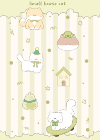 Small house cat2