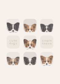 DOGS - Papillon - BEIGE