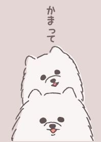 revised mofumofu white Pomeranian