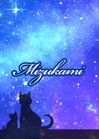 Mizukami Milky way & cat silhouette
