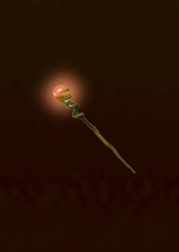 Magical stick orange fire