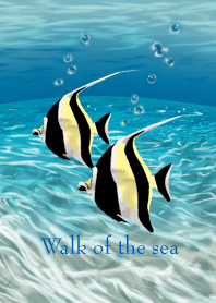Walk of the sea