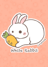 Cute White Baby Rabbit!!