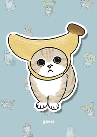 neko combo3 / sea blue