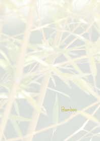 Bamboo Theme 2