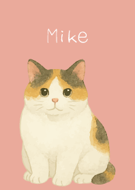 Chubby Calico Cat2 on pink & blue