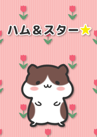 Ham&Star [hamster]