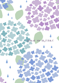 rain and hydrangea(white)