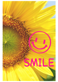 ดอกทานตะวัน /16