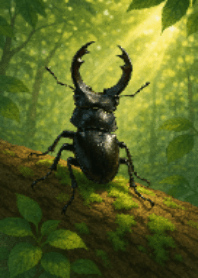 Stag Beetle Diary