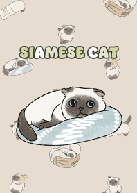 siamesecat7 / almond