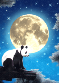 panda and full moon
