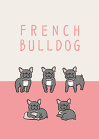 Doodle brindle french bulldog.
