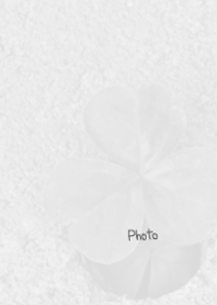 Black and white photography Theme 4