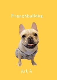 Frenchbulldog OMOCHI