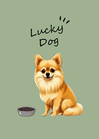 Cute Pomeranian dog(grey green)