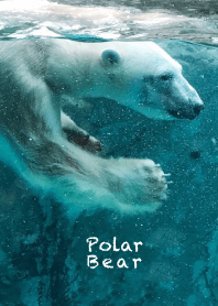 Natural_sea_08_Polar Bear