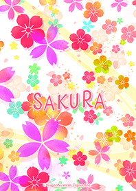 Flower of colorful sakura