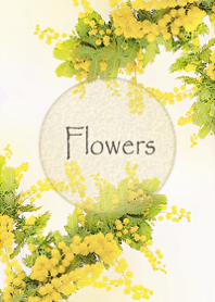 Mimoza flowers wrapped in kindness4.