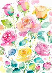 Beautiful rose flower(R4580)