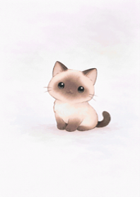 布偶貓簡約紫漸層