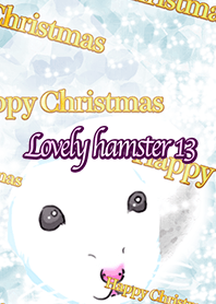 Lovely hamster15
