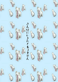 さんぽにいきたくありません