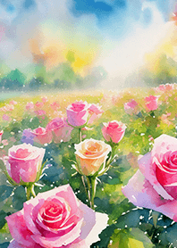 Beautiful rose flower(R1663)