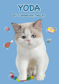 Yoda ( Tumamink.thecat )