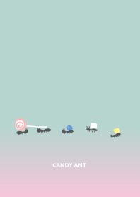 Candy ant