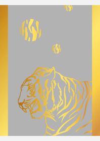 tiger on white