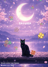 Moon cherry blossoms and black cat