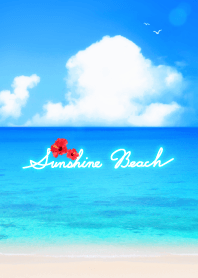Sunshine Beach
