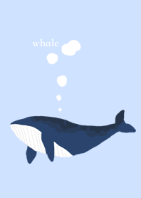 Whale pool