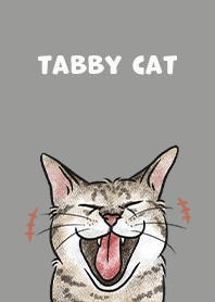 tabbycat4 / dim grey