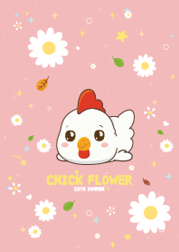 กุ๊กไก่ ดอกไม้ในฤดูร้อน สีชมพู