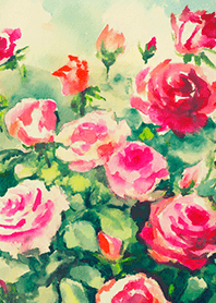 薔薇(バラ)の花の着せかえ(R4023)