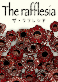美しきラフレシア