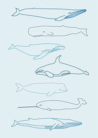 WHALE IN THE BLUE