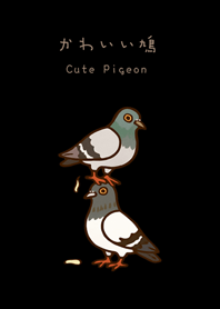 Fat and silly pigeon(pure black)