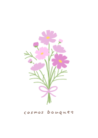 cosmos bouquet(pink)
