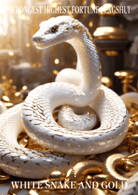 White snake and gold  Lucky 66